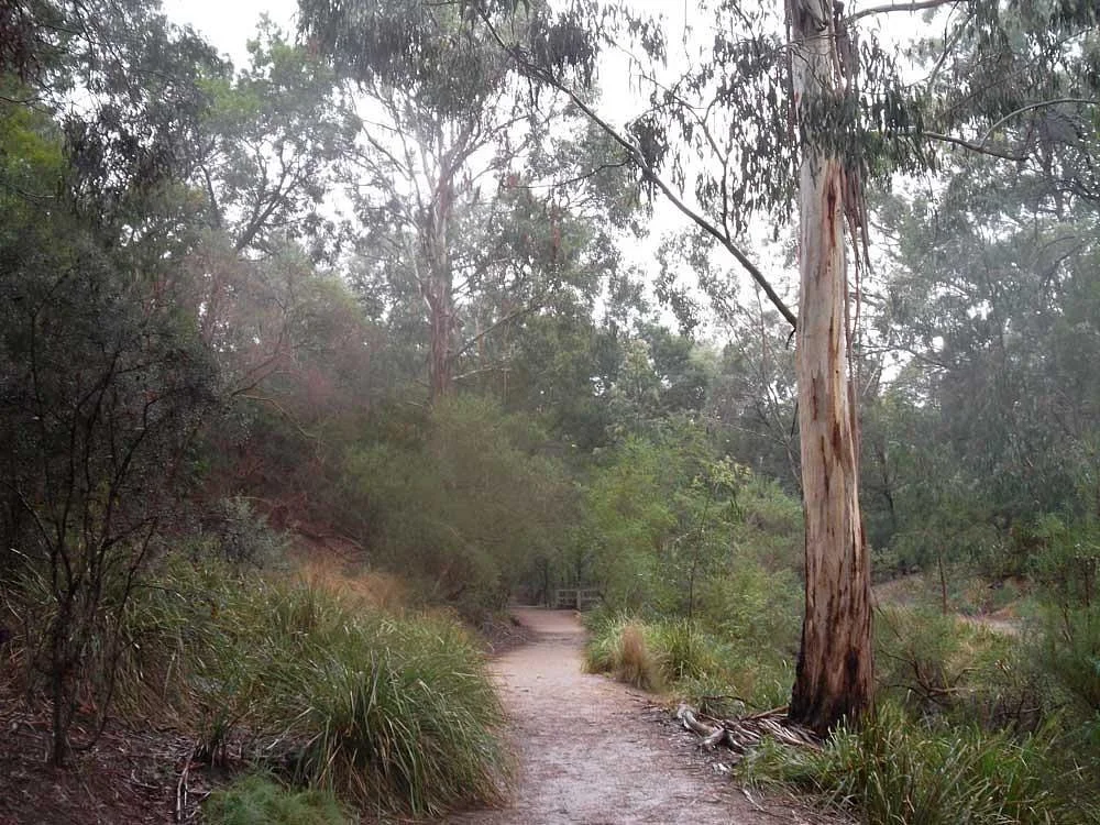 Damper Creek Reserve