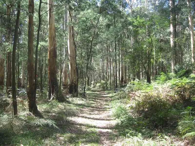 Butterfield Reserve