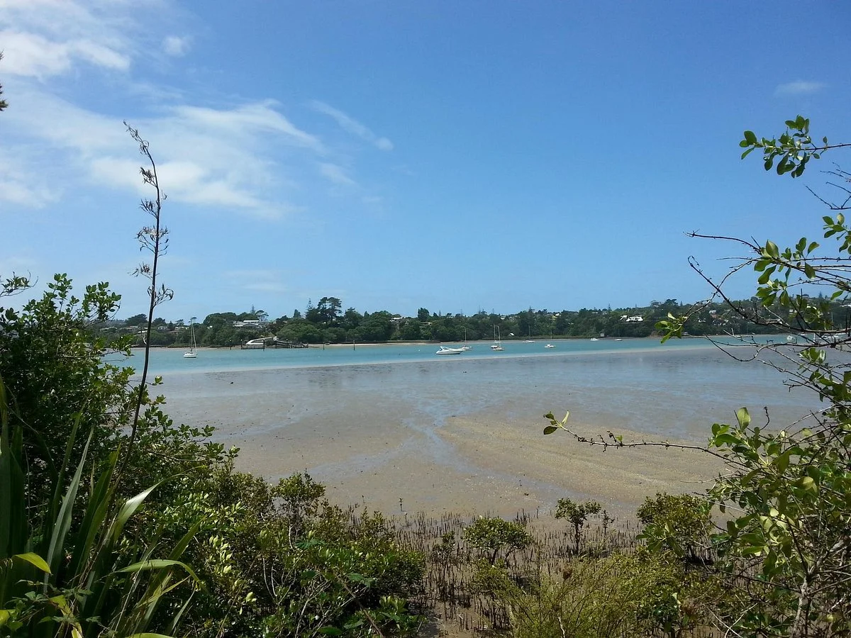 Hobsonville Point Cycle Ride