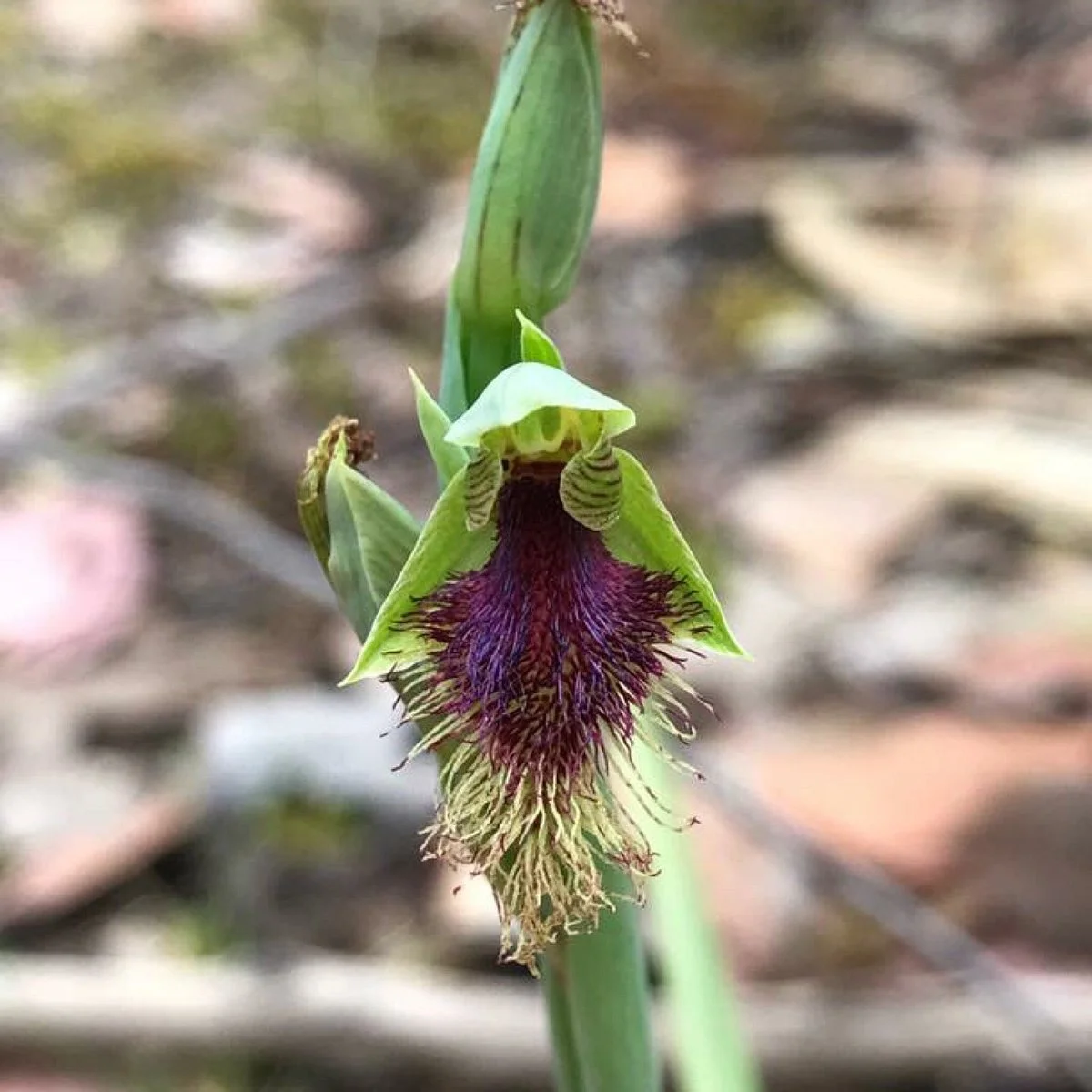 Pretty Hill Reserve