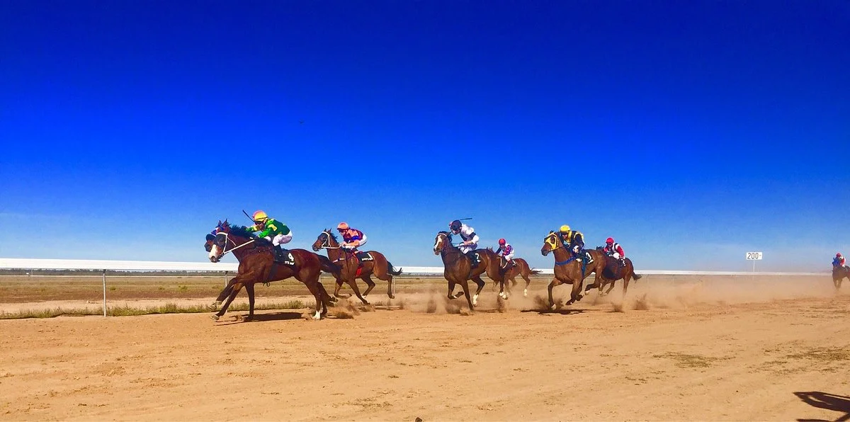 Louth Races