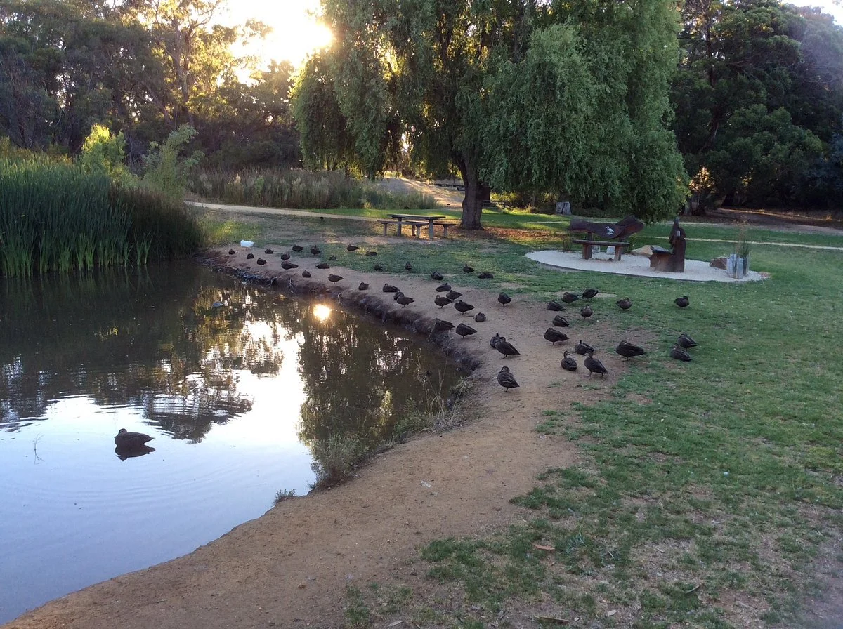 Taylor Park