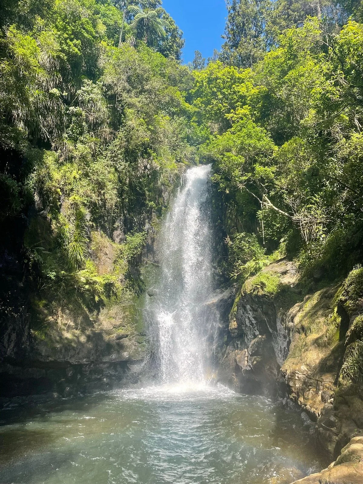 Welcome Bay Hot Pools and Camp Ground
