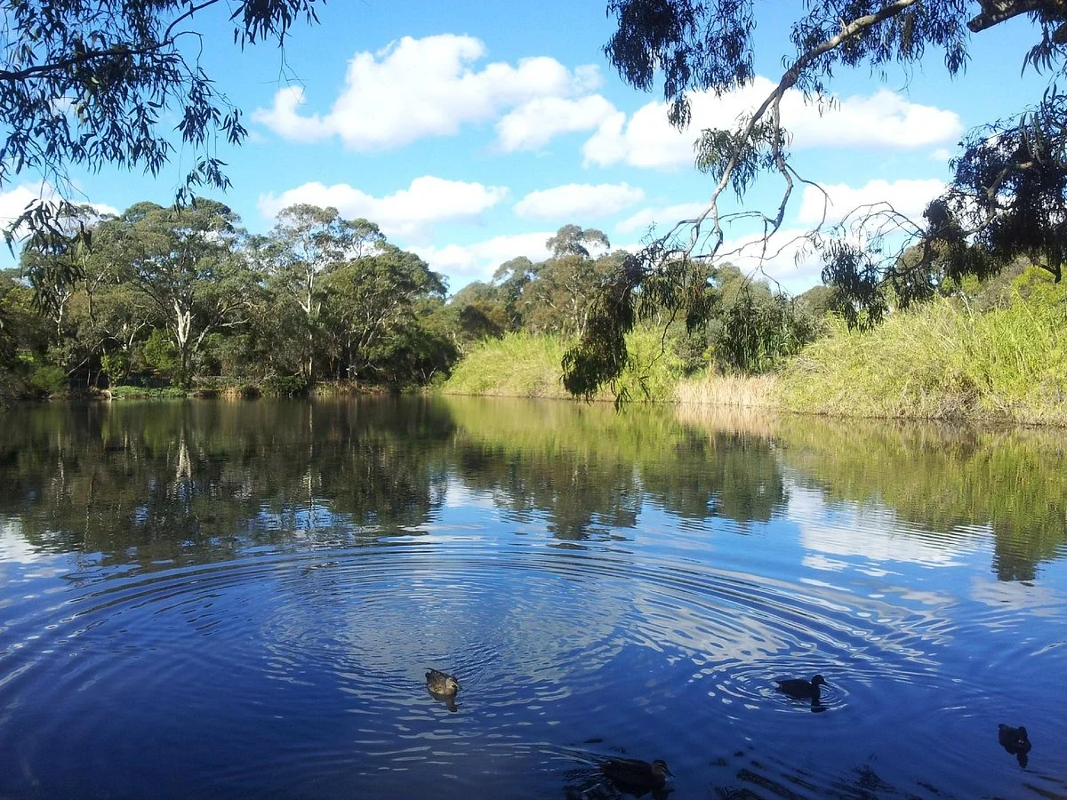 Wittunga Botanic Garden