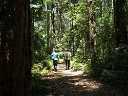 Apple Tree Park