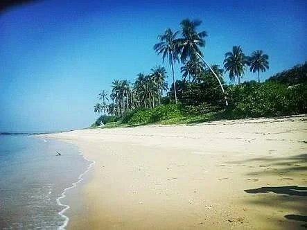 Chaung Tha beach
