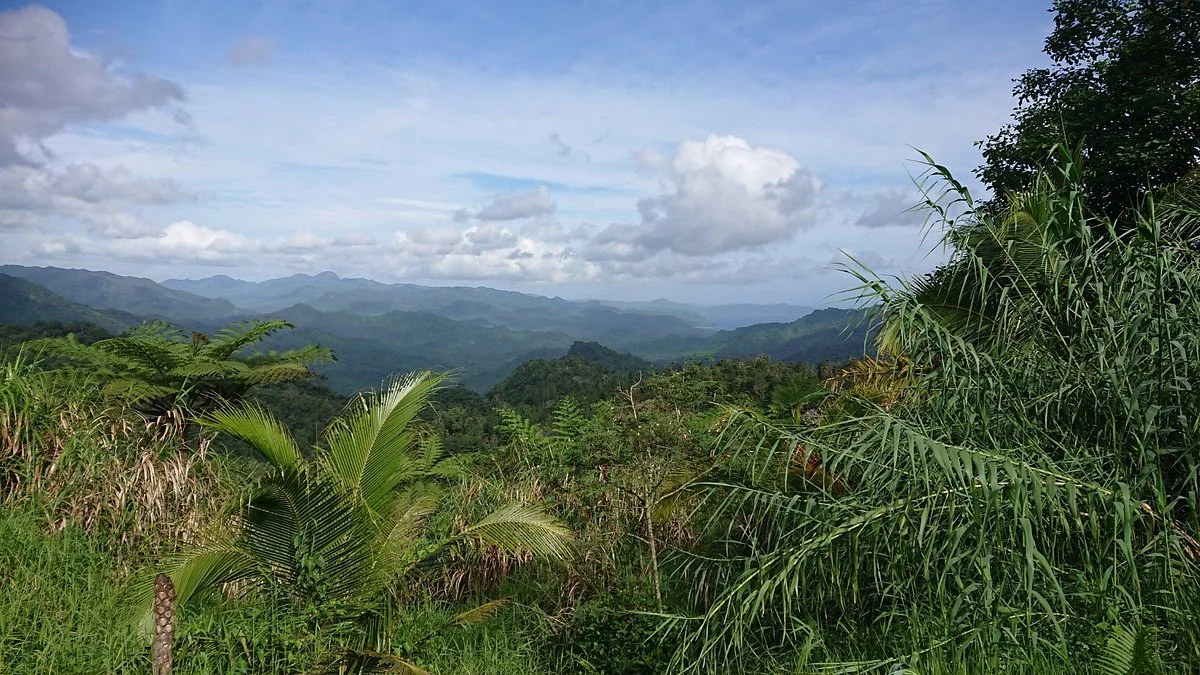 Waisali Rainforest Reserve