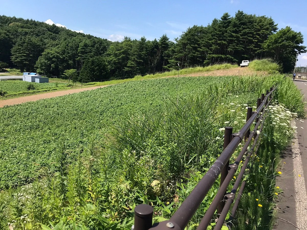 Kitahiroshima Cycling Road
