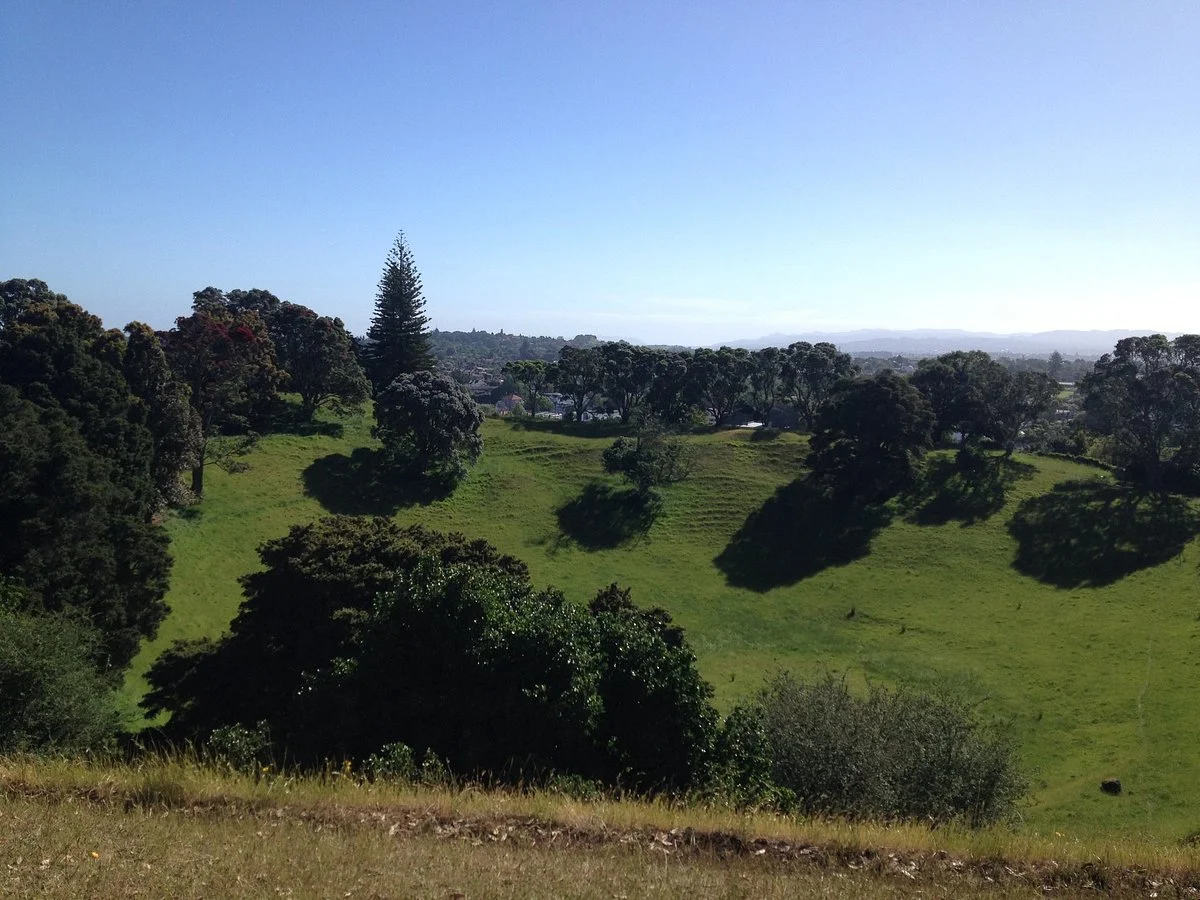 Mt St John Domain