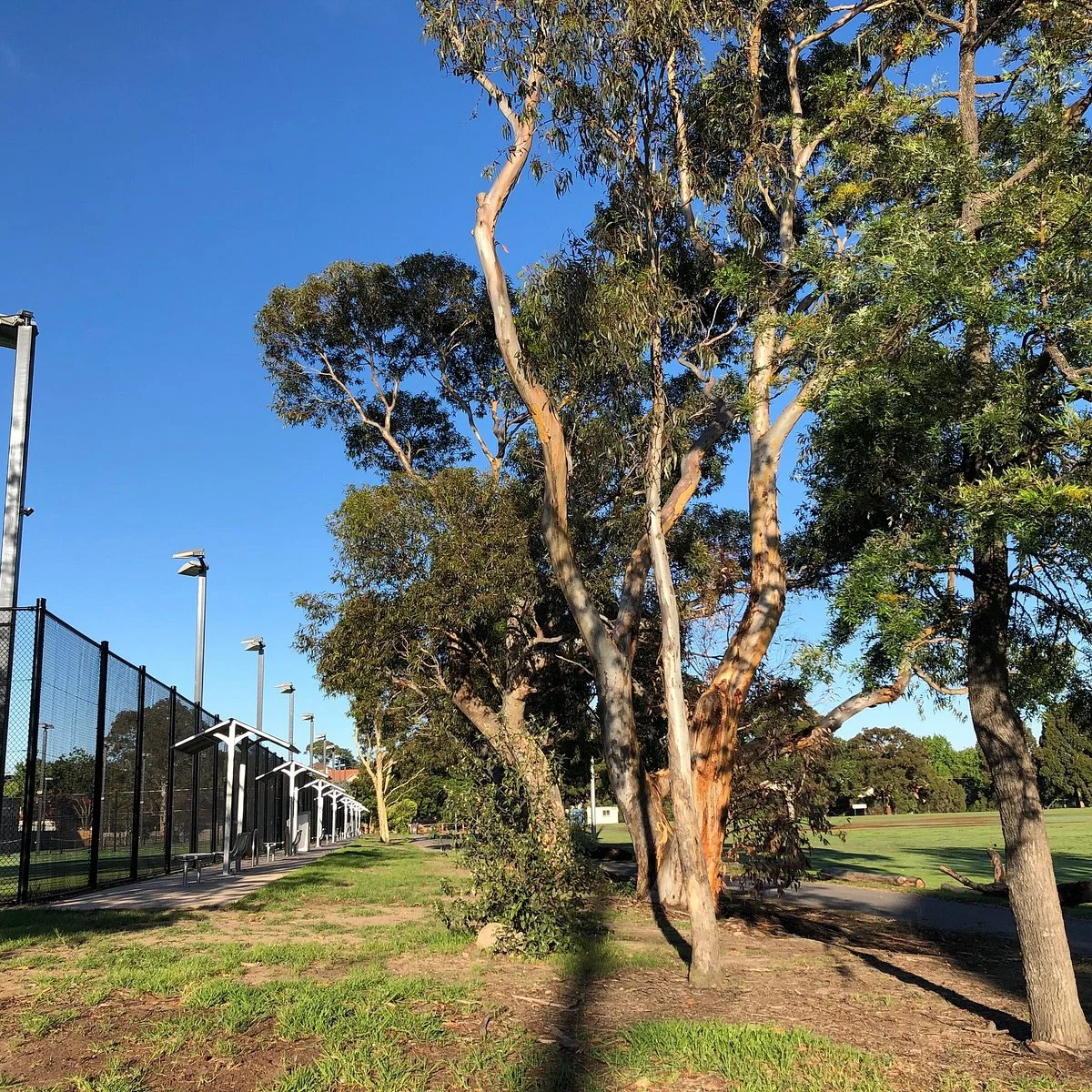 Caloola Reserve