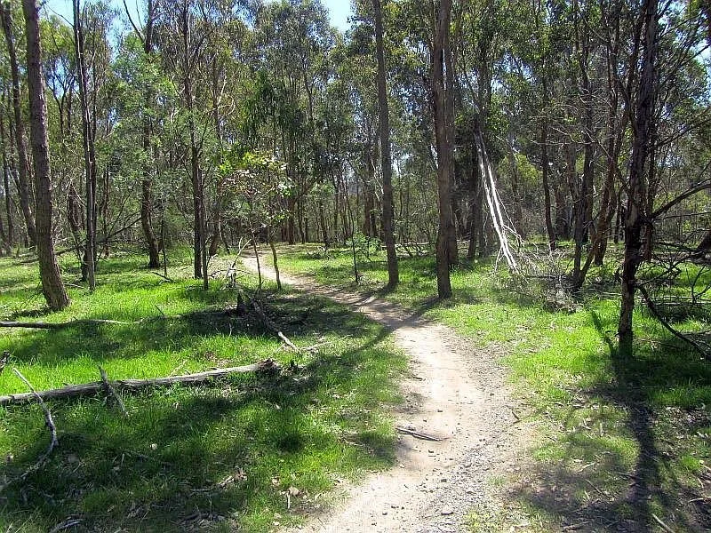 Candlebark park