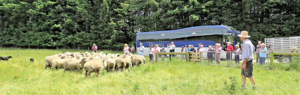Middle Rock Farm Tour