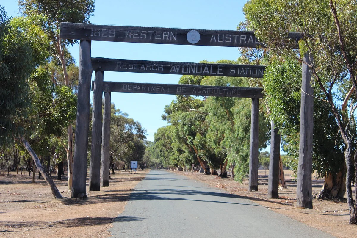 Avondale Farm