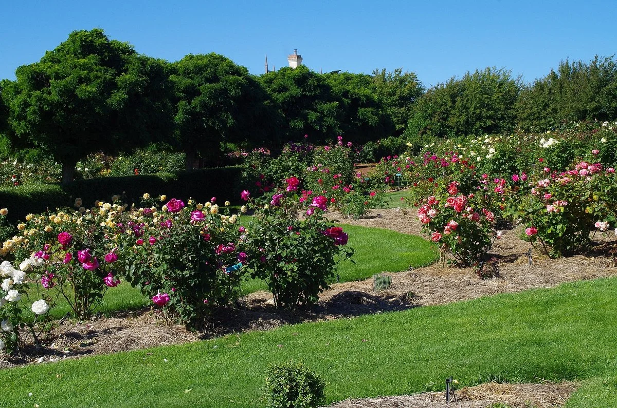 National Rose Garden