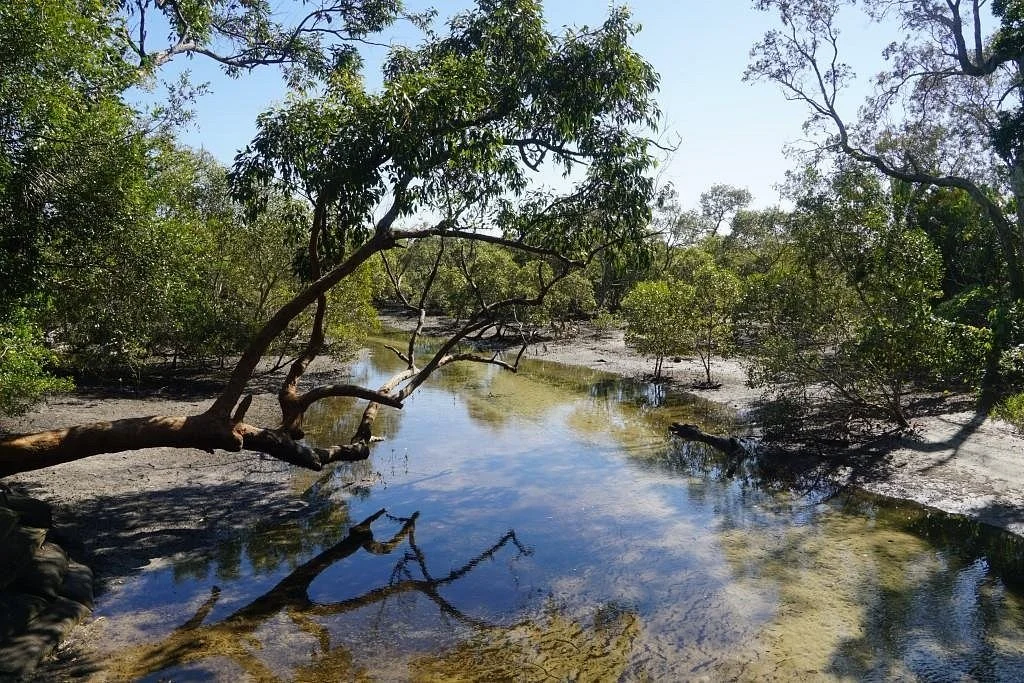 Myora Springs Conservation Area