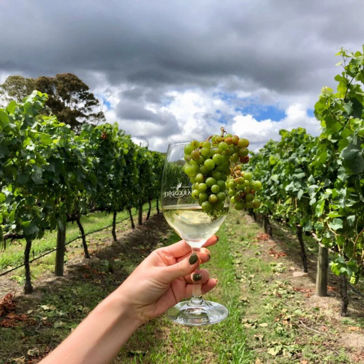 Narkoojee Winery