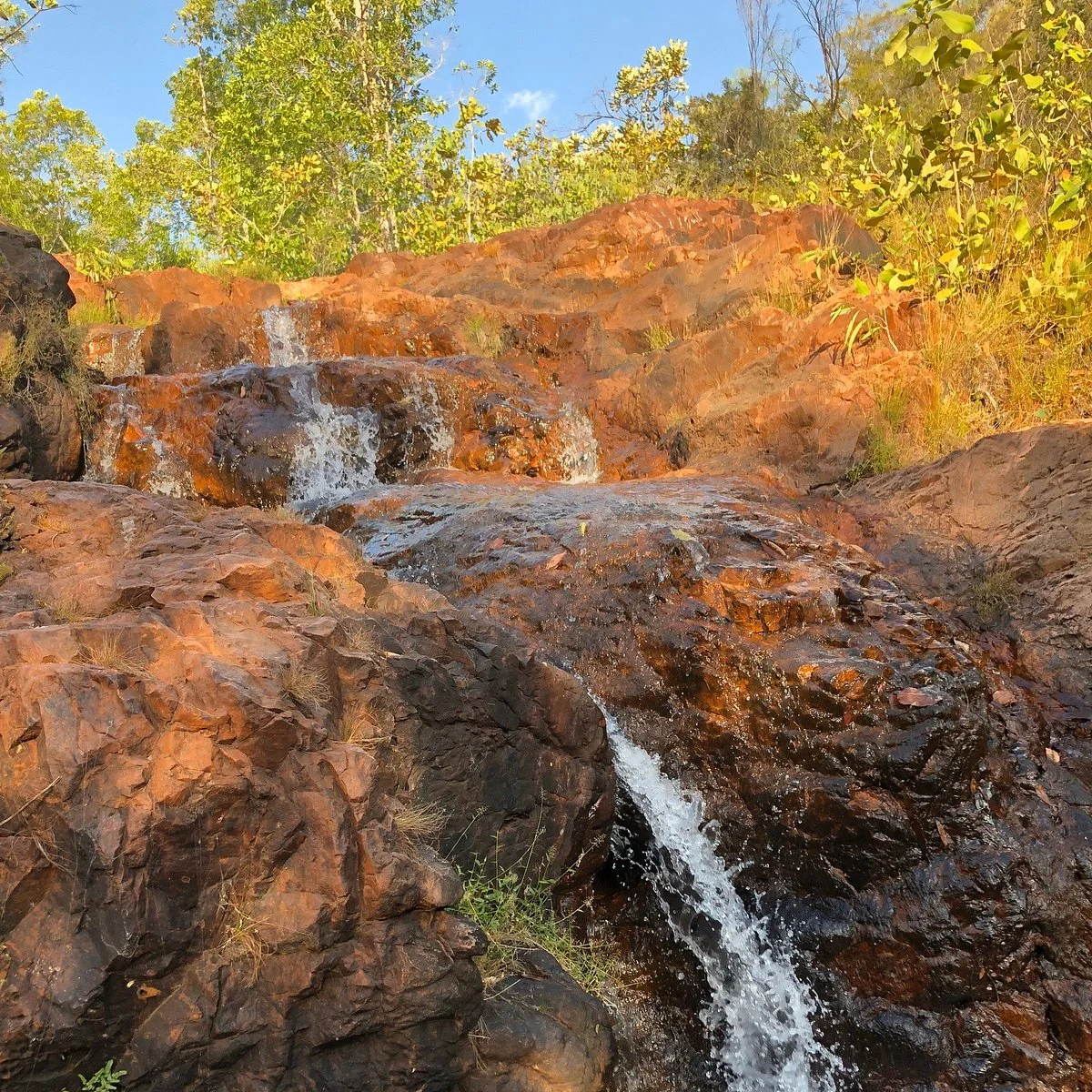 Walker Creek