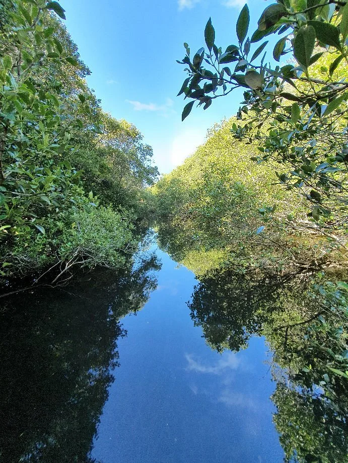Kooloonbung Creek Nature Park