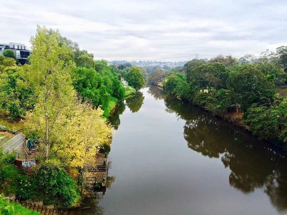 Yarra Bank Reserve