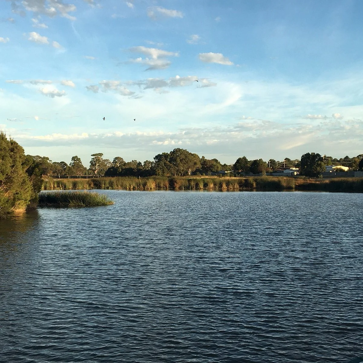 River Gum Creek Reserve
