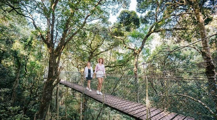 Sarabah National Park