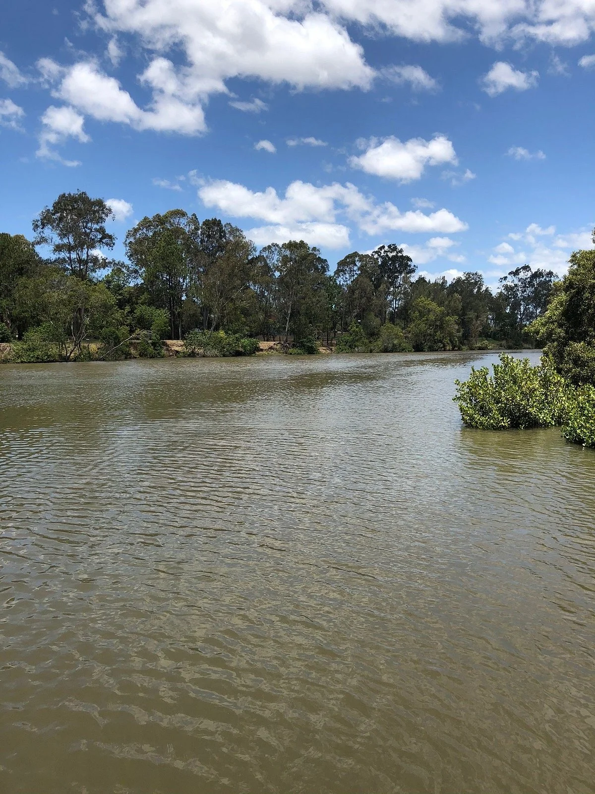 Alexander Clark Park