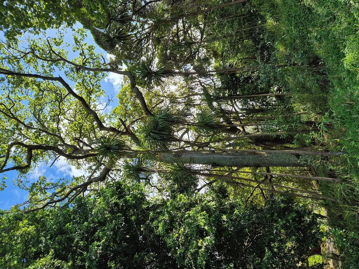 Western Park