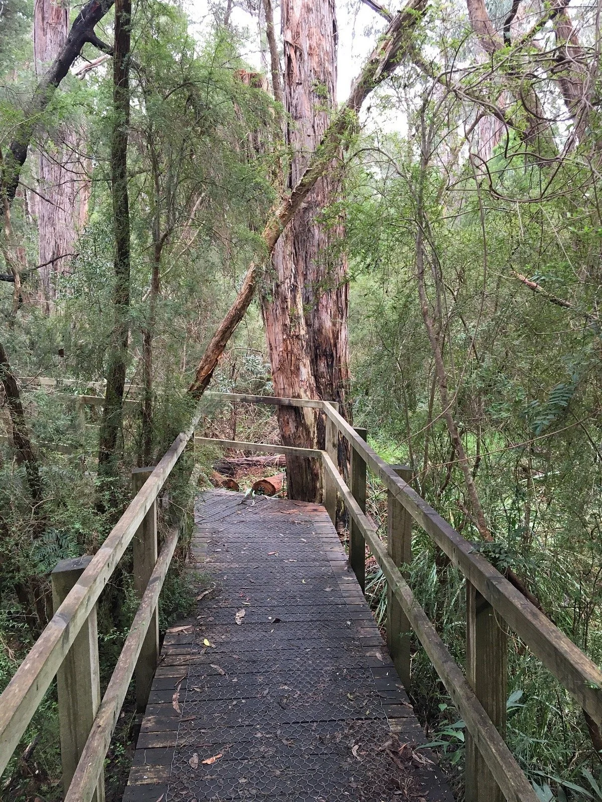 Wombolano Park