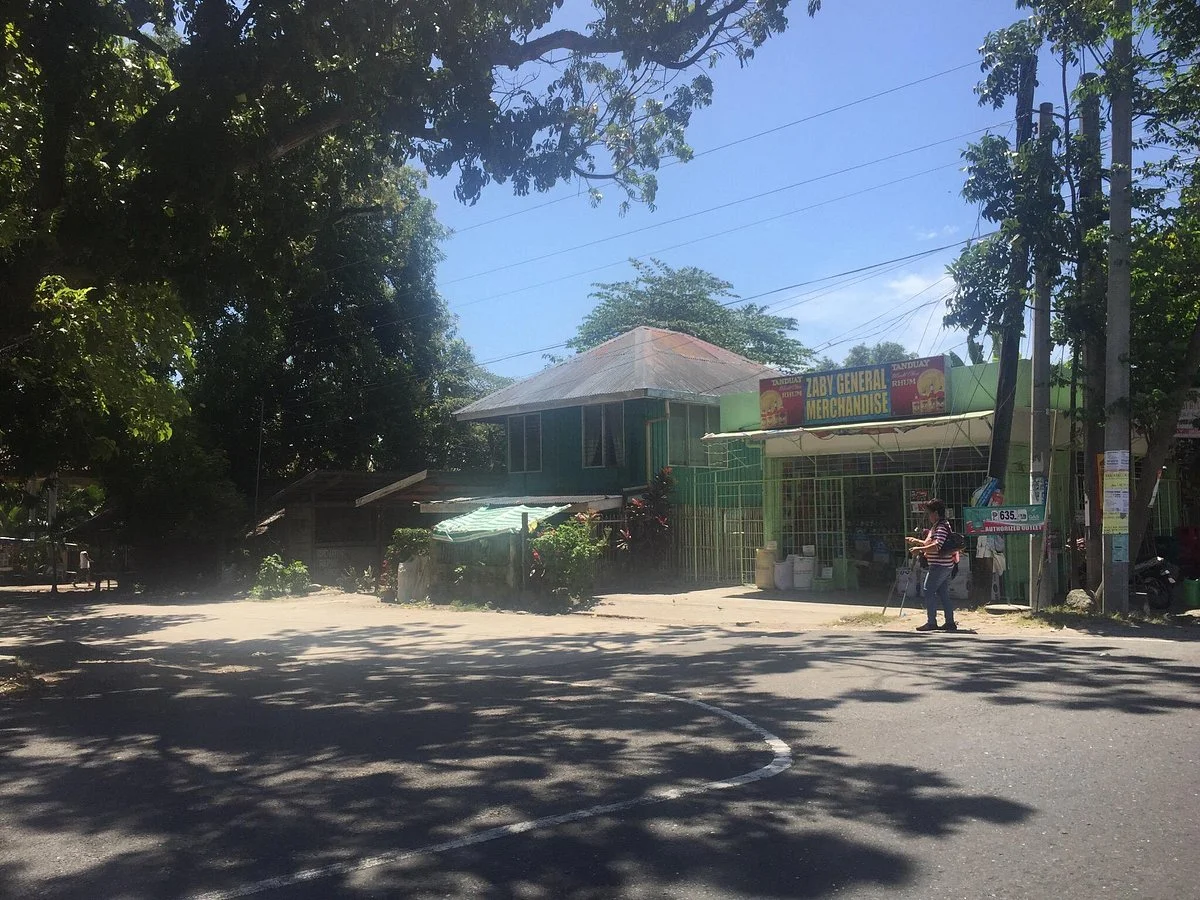 Negros Oriental Arts and Heritage (NOAH)