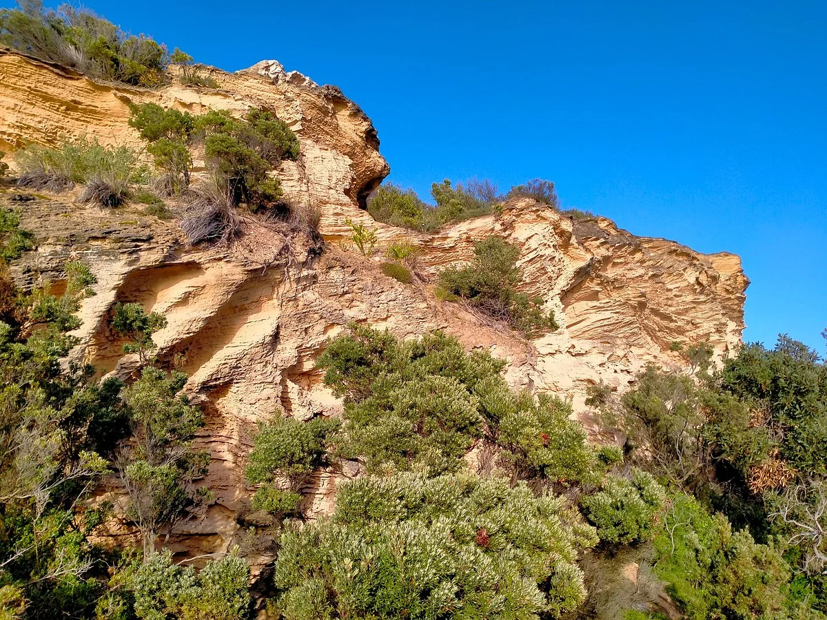 White Cliffs Lookout Rye