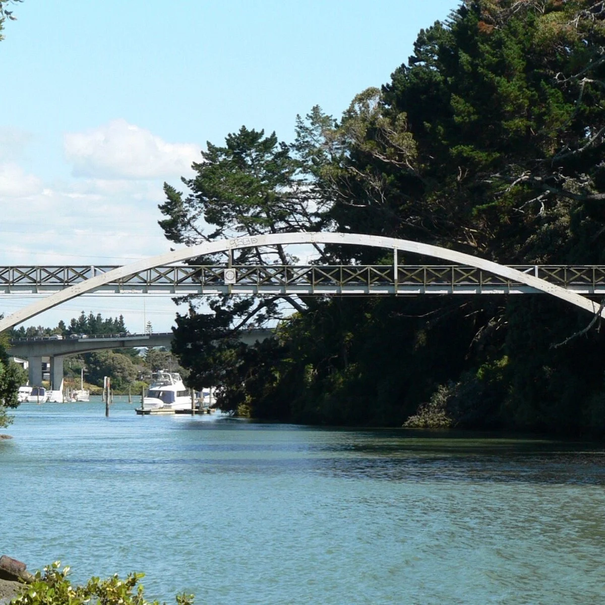 Panmure Basin