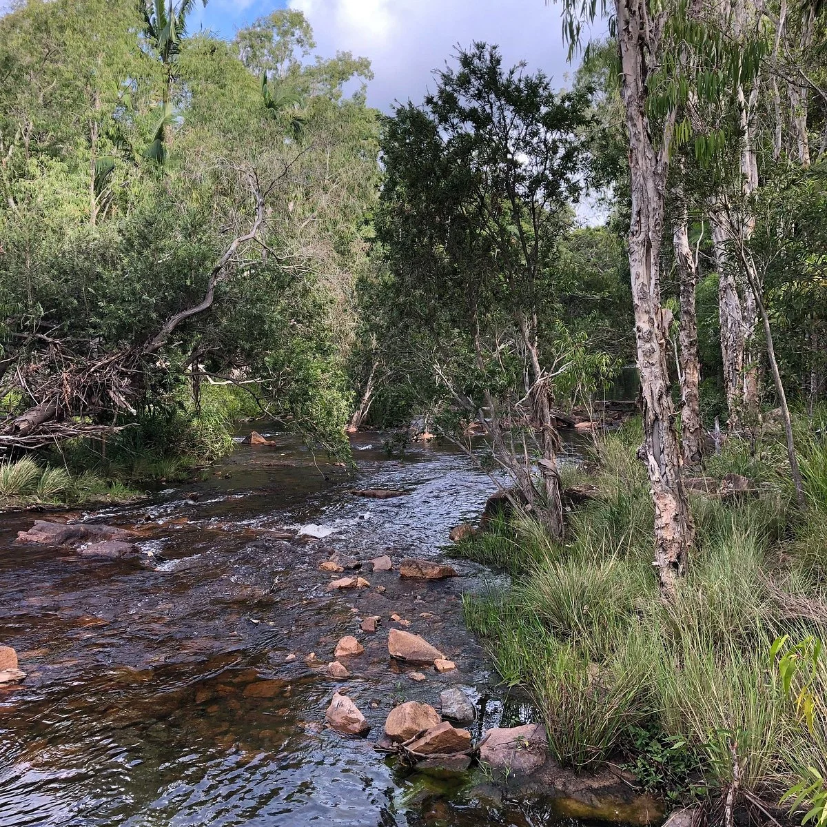 Waterpark Creek