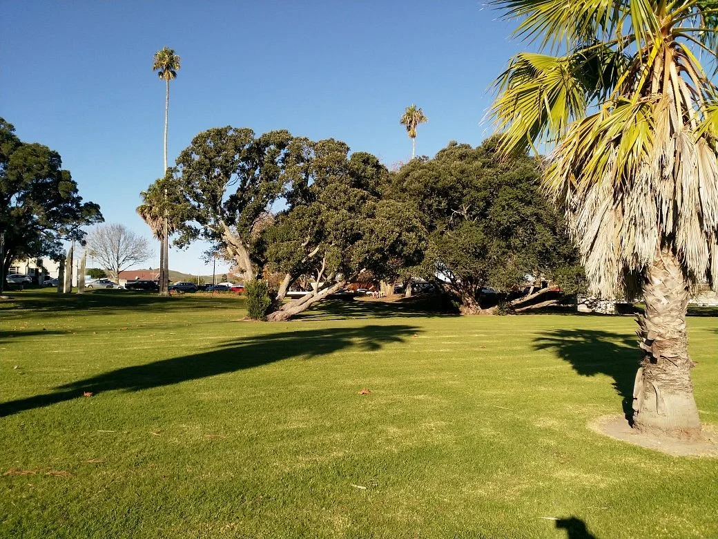 Kelvin Park