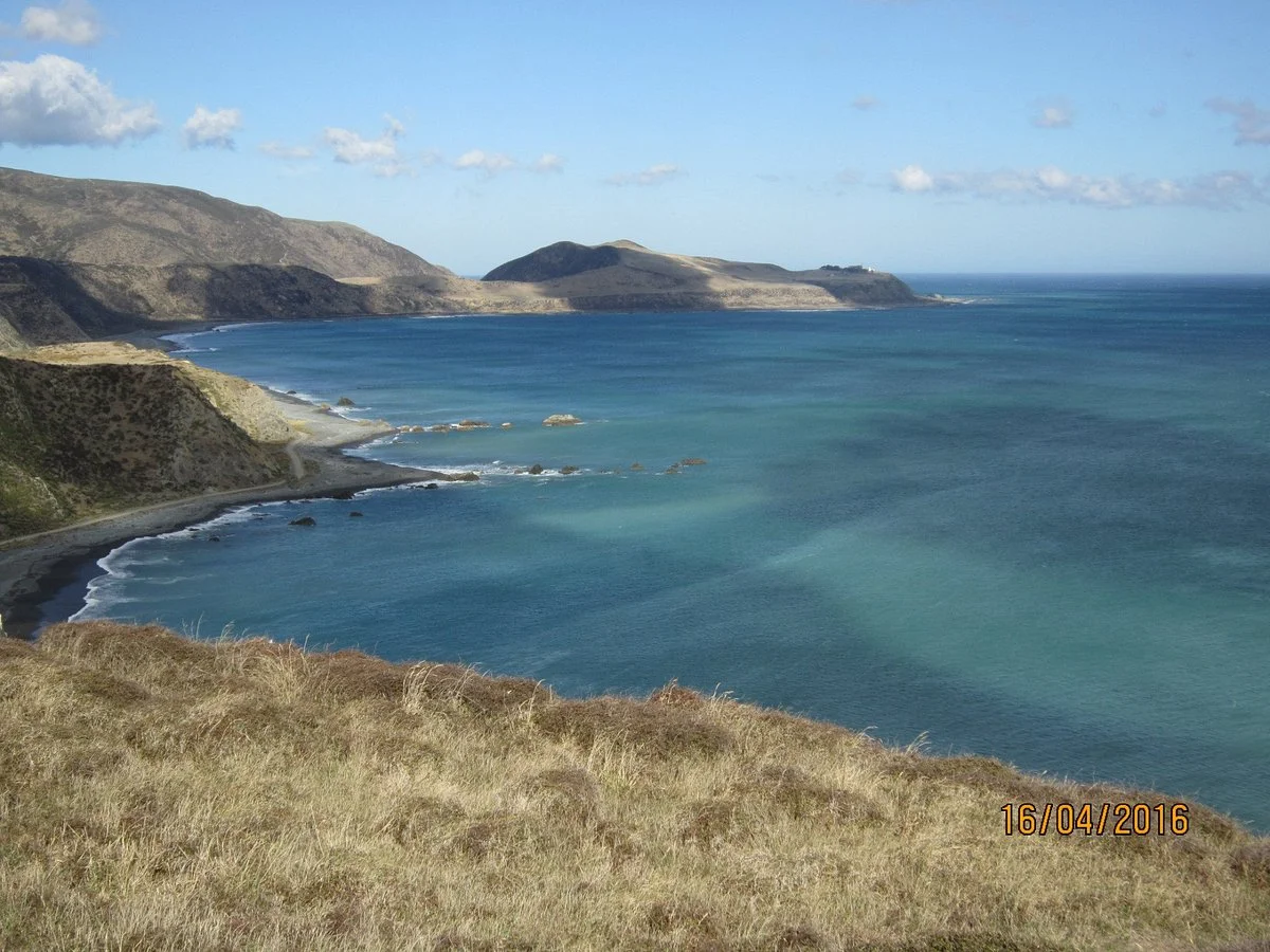 Pencarrow Coastal Trail