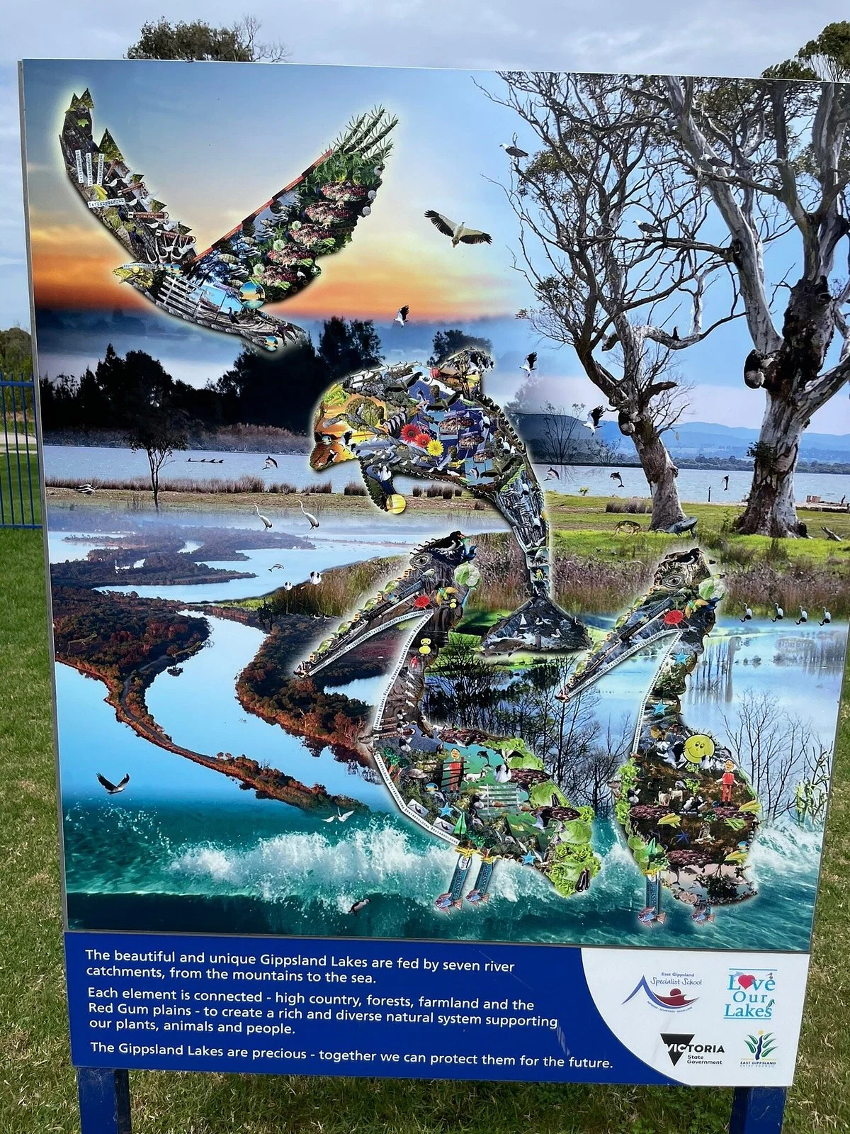 East Gippsland All Abilities Playground