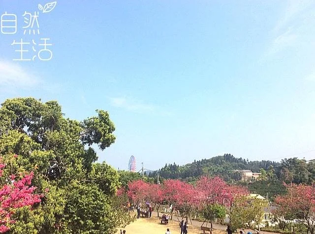 Huguang Shanshe