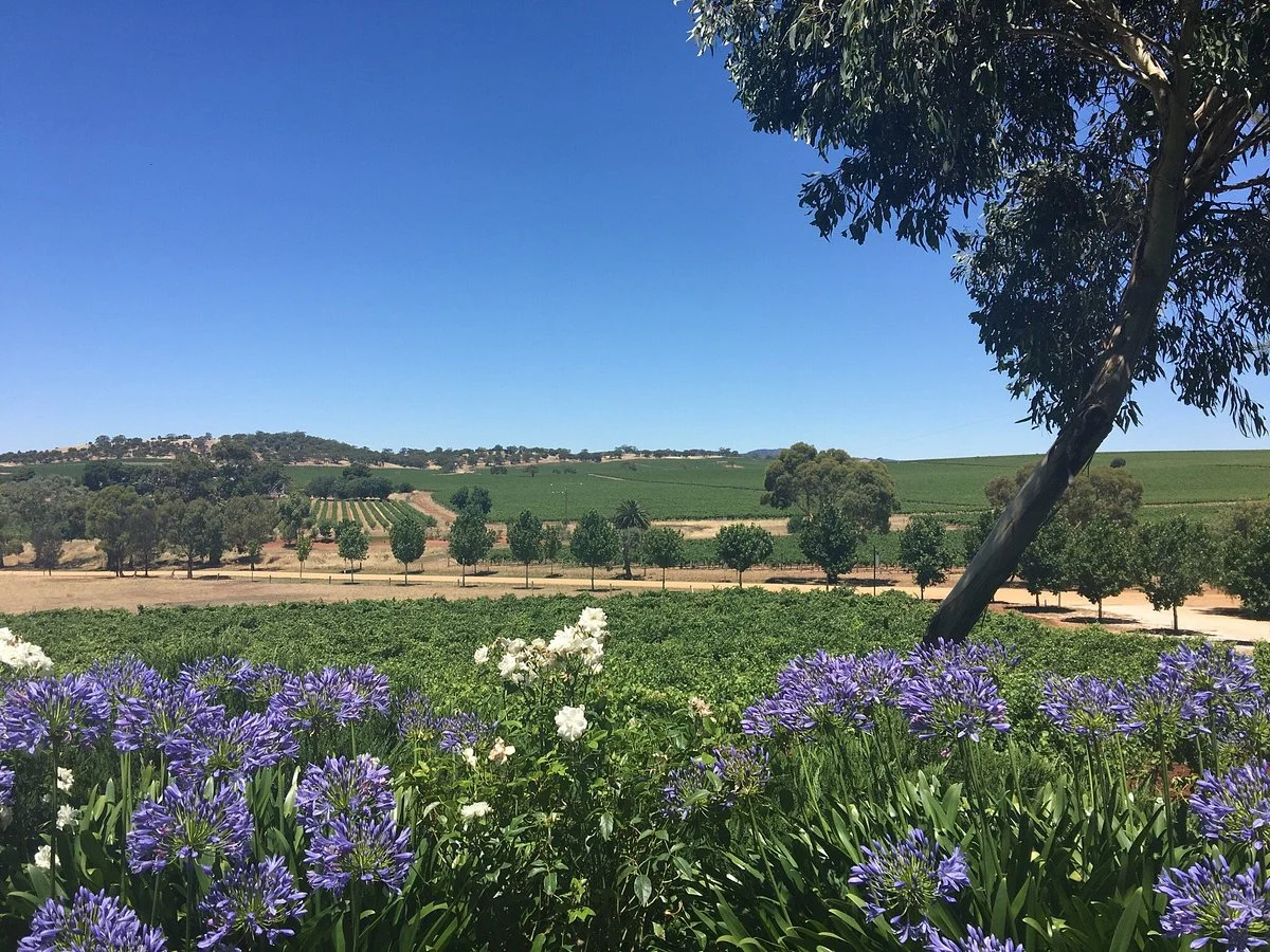 Seiber Road Wines