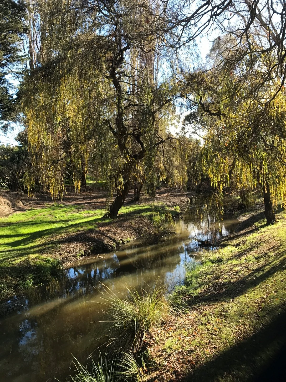 Pearl Park