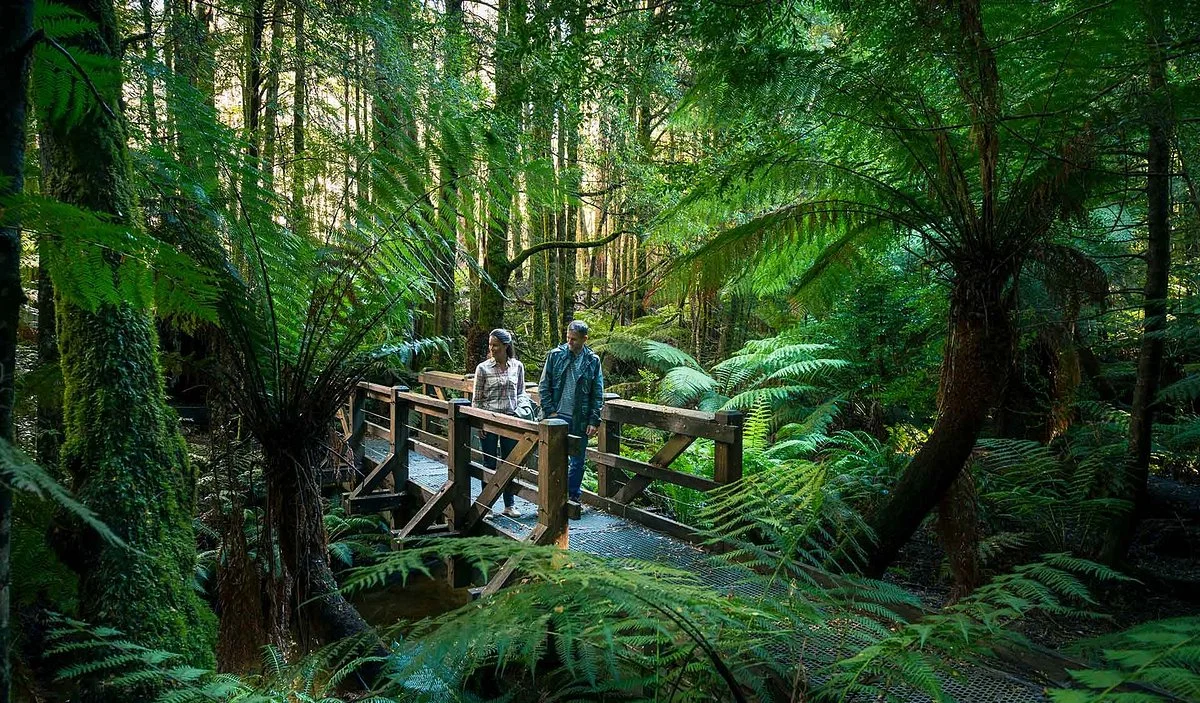 Yarra Ranges National Park