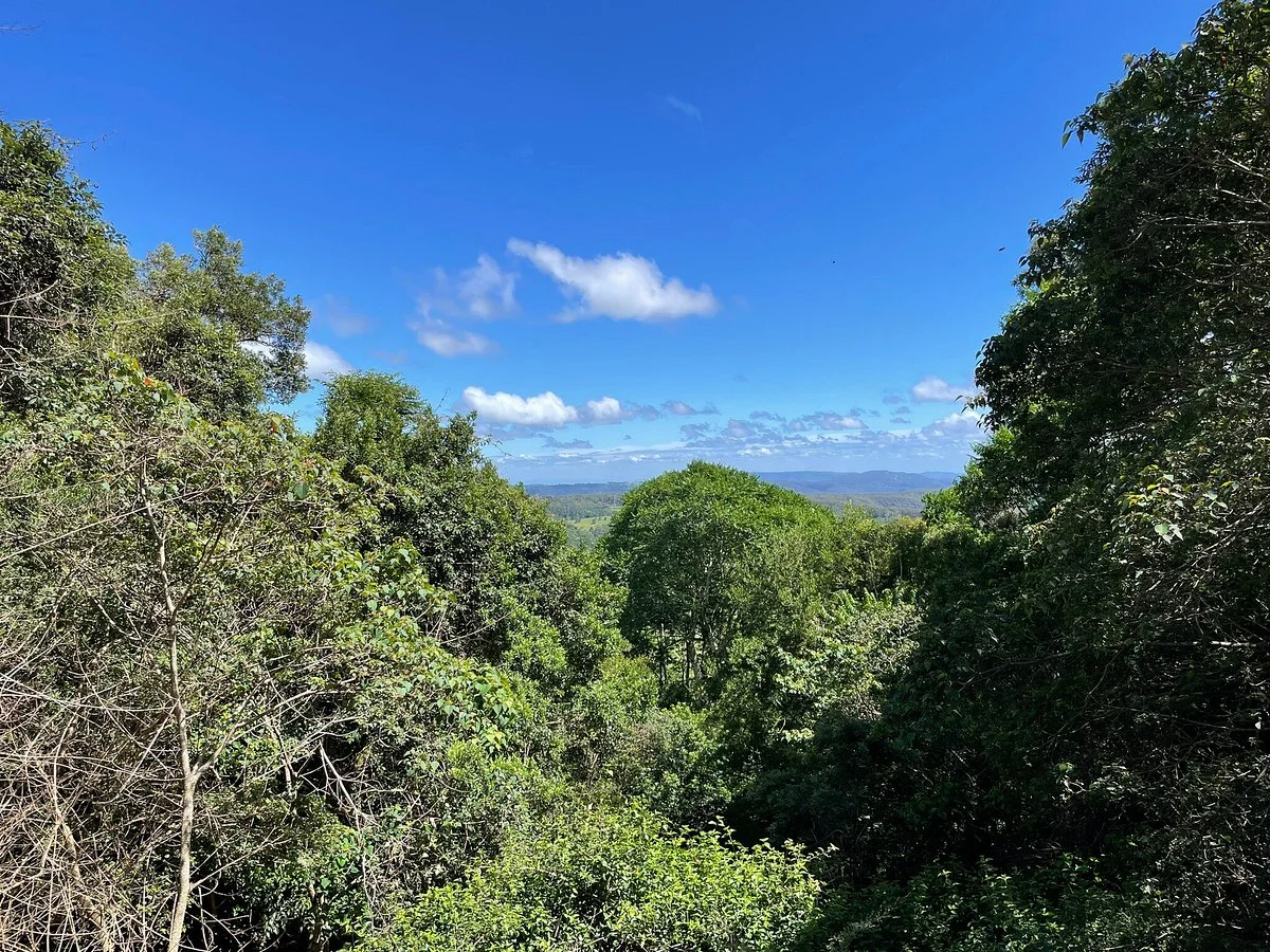 Hardys Lookout