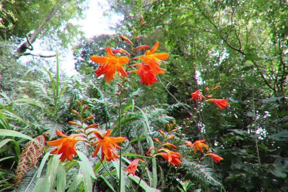 Kingsford Smith Memorial Park