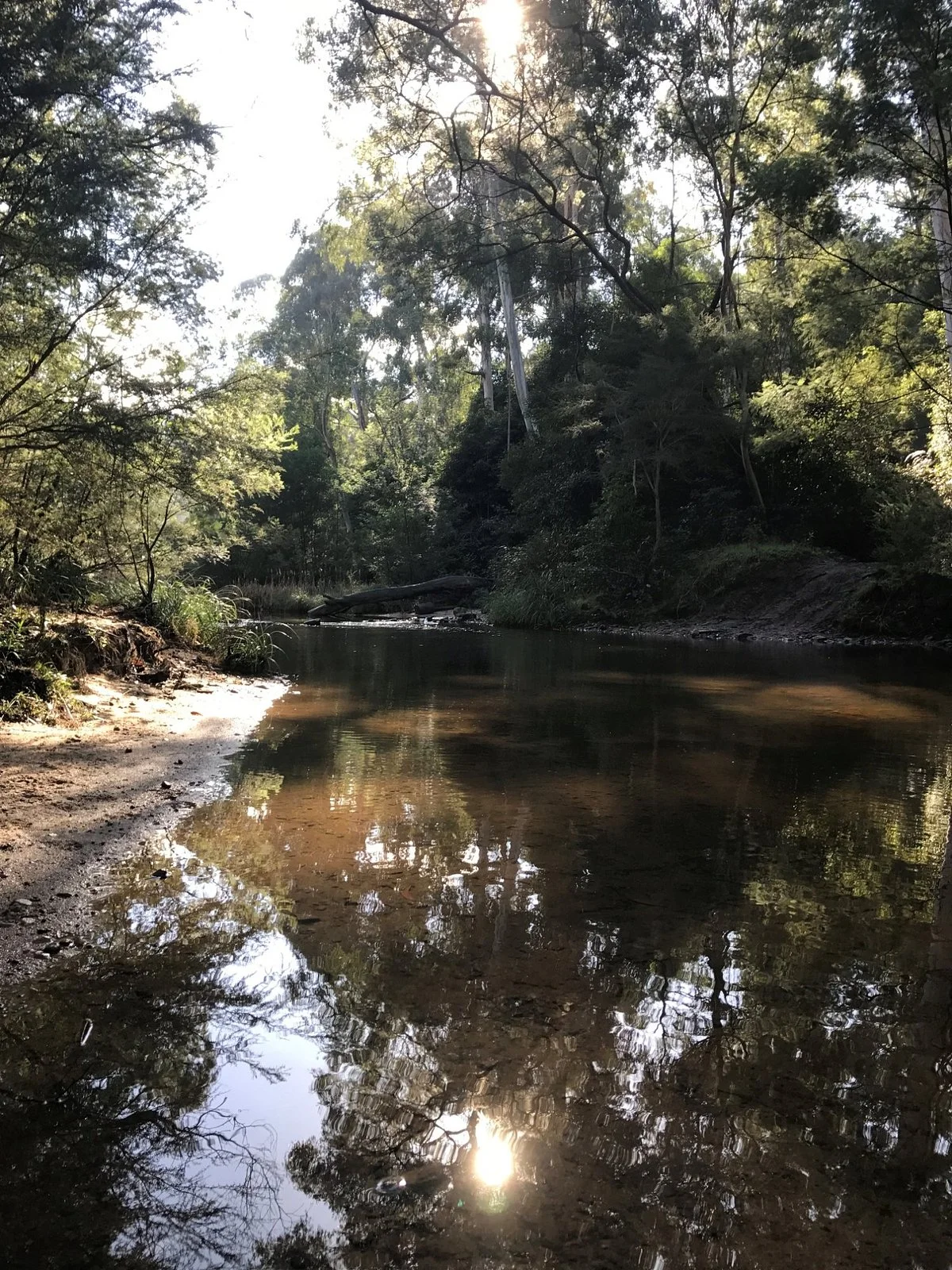 Wirilda Environment Park