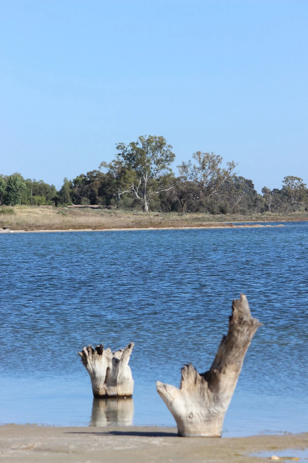 Lake Hawthorn