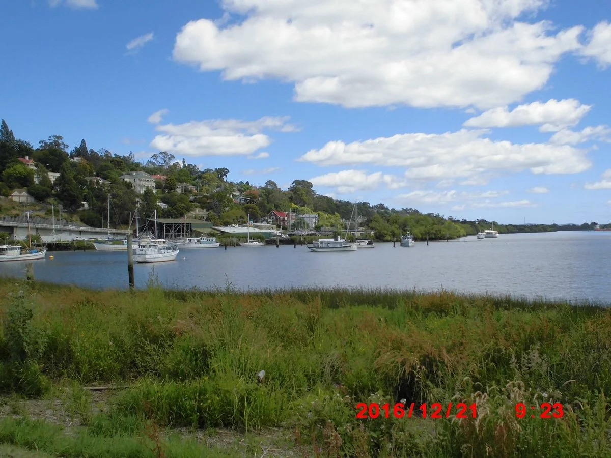 Tamar River
