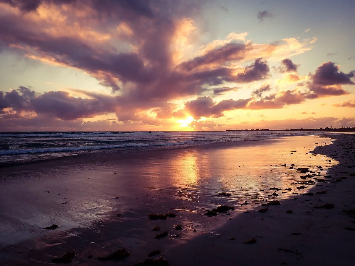 Tarcoola Beach
