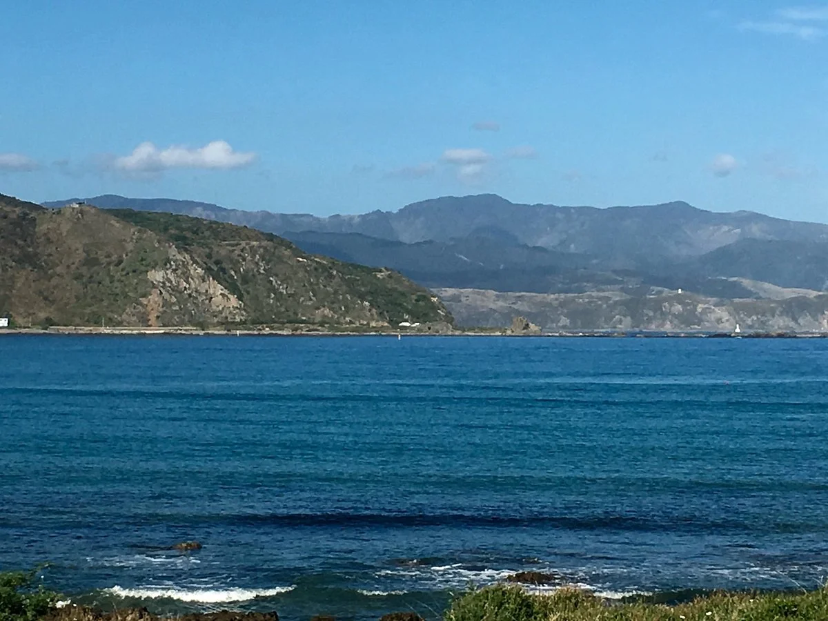 Lyall Bay