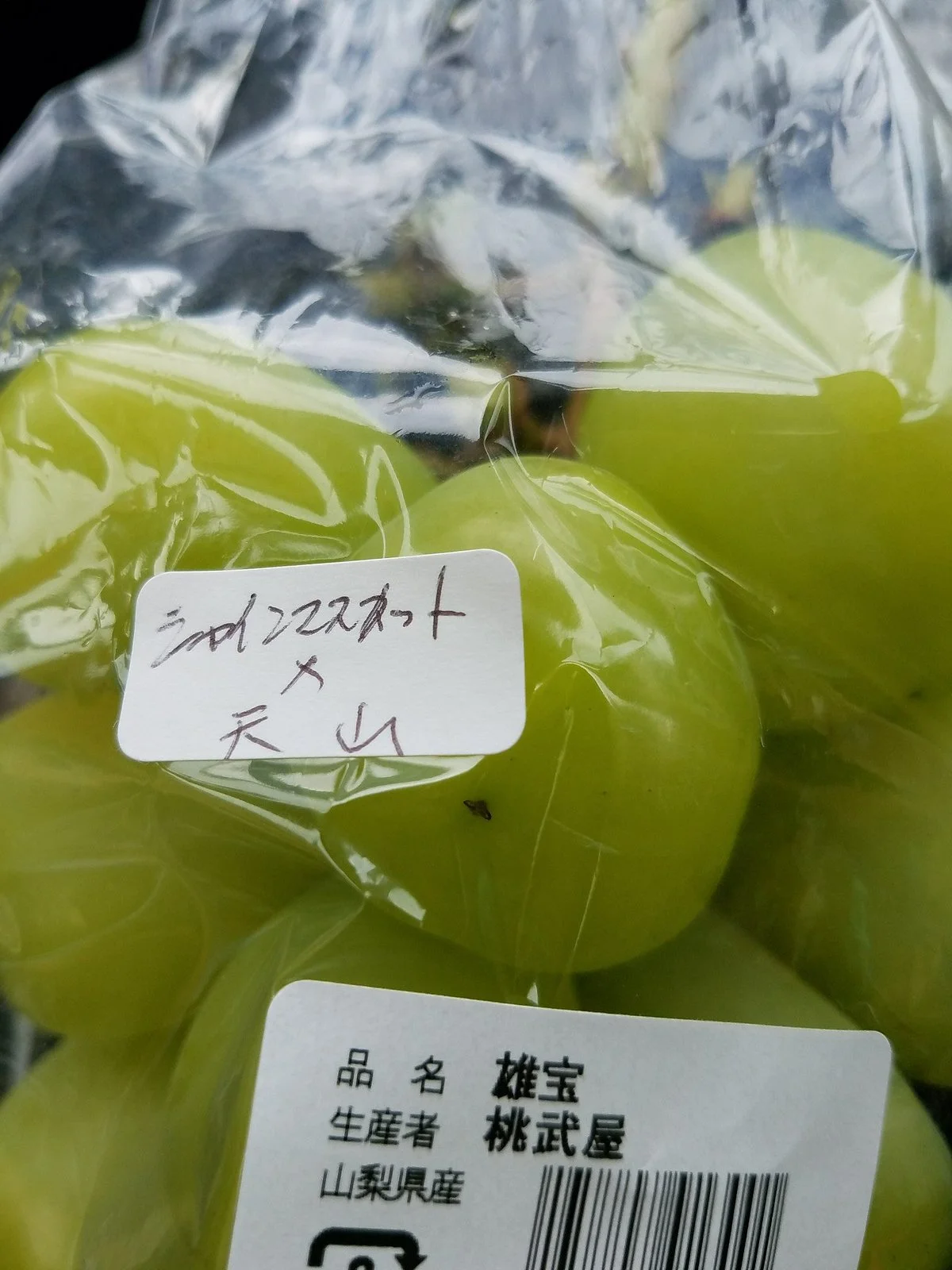 Kasugai Agricultural Products Farm Stand