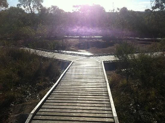 Bulgandry Aboriginal Engraving Site