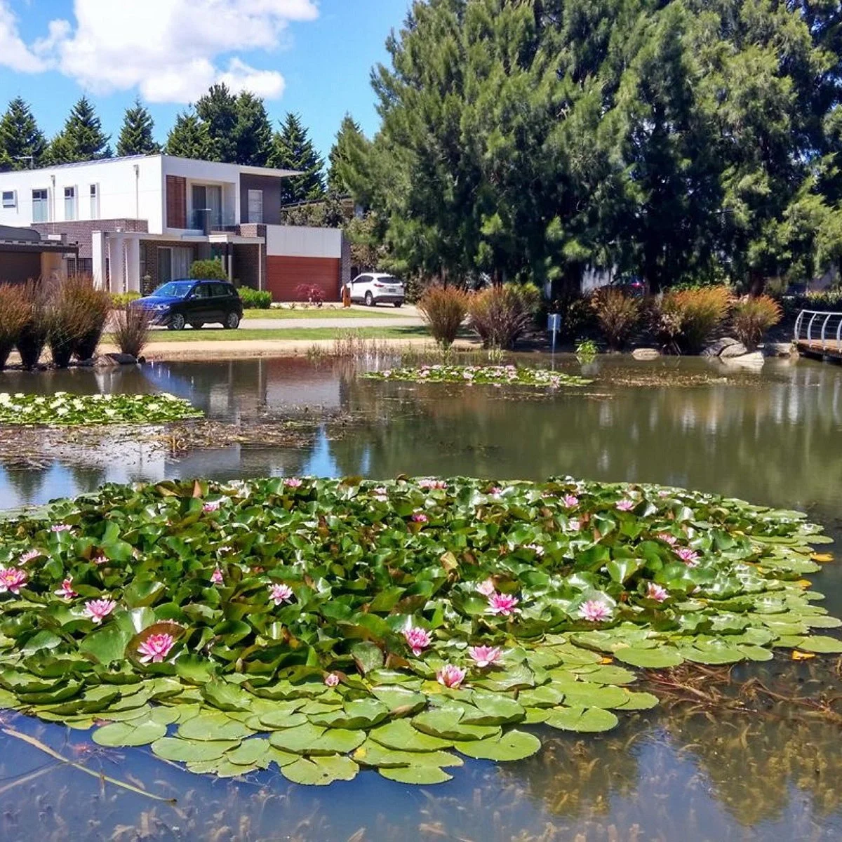 Wheelers Hill Branch Library