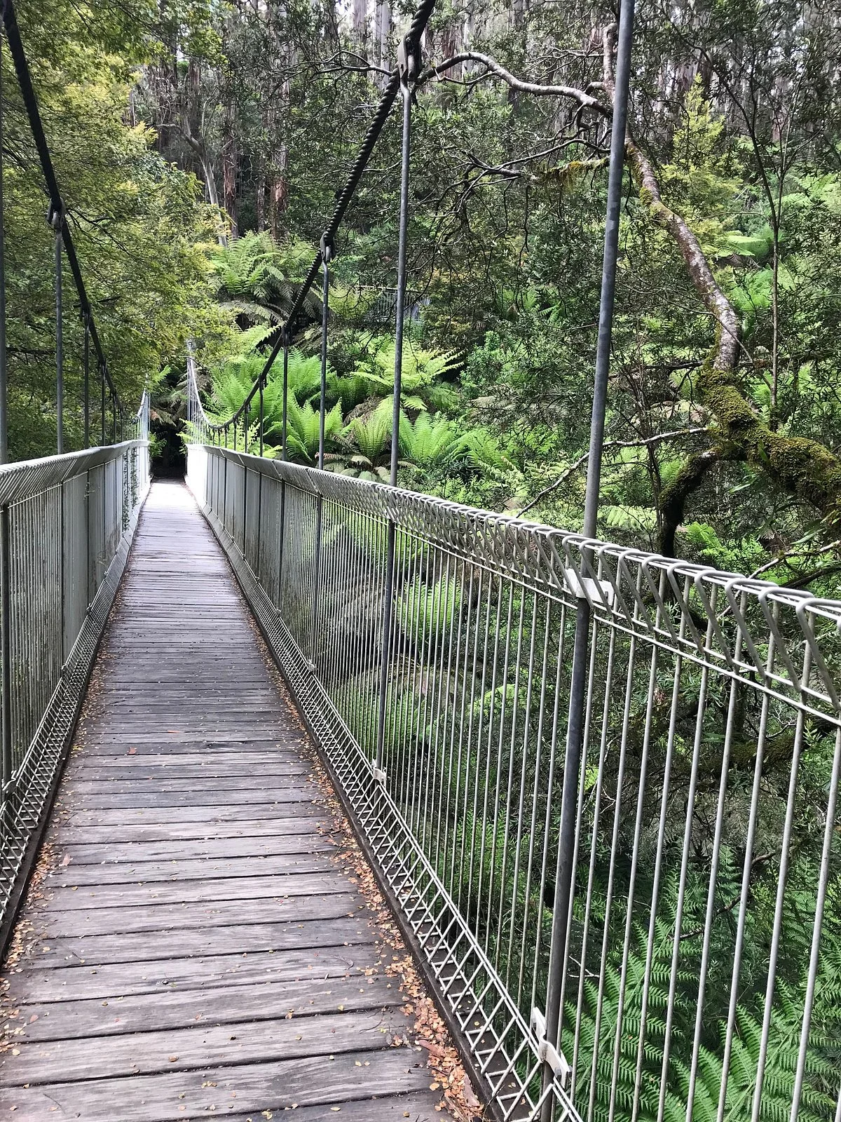 Corrigan's Suspension Bridge